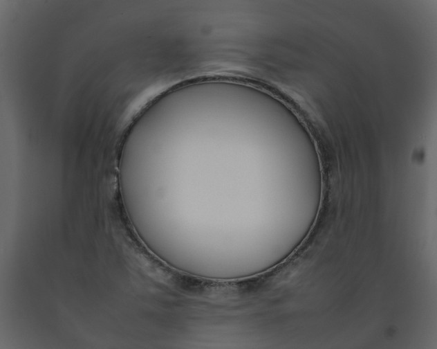 X0000092241363200710051230