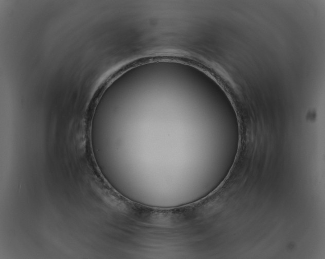 X0000092241364200710051230