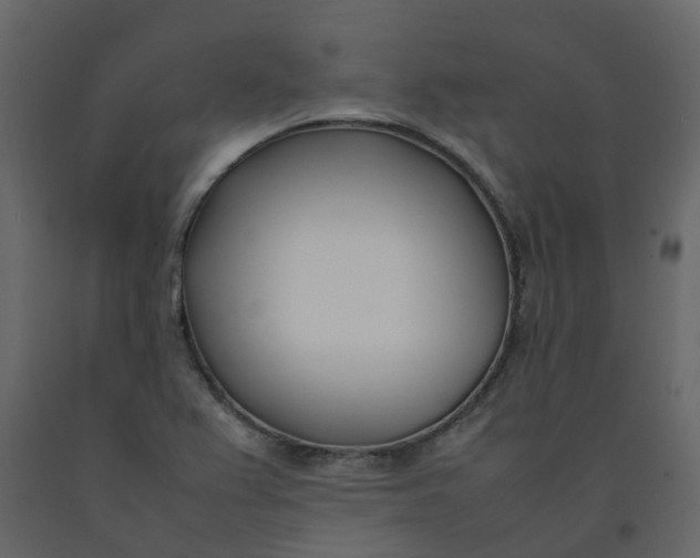 X0000092241367200710051230