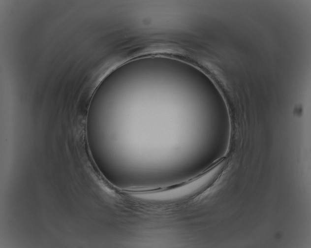 X0000092241369200710051230