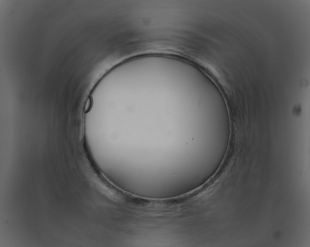 X0000092241371200710051230