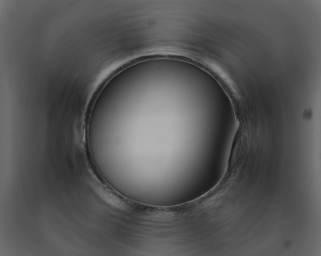 X0000092241372200710051230