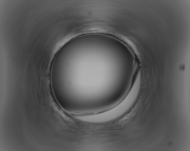 X0000092241373200710051230