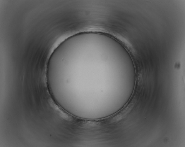 X0000092241374200710051230