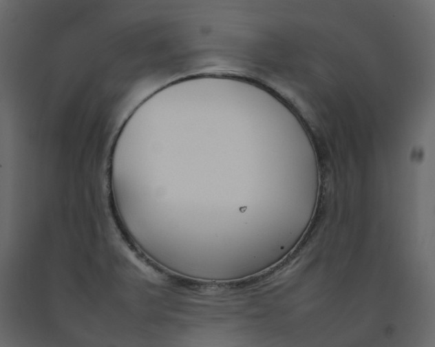 X0000092241375200710051230