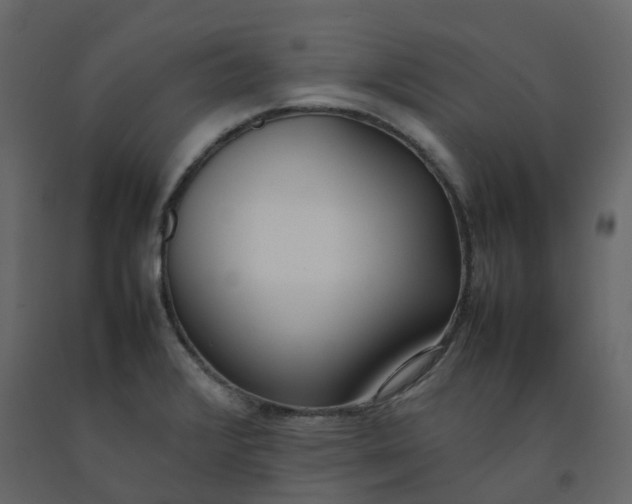 X0000092241376200710051230