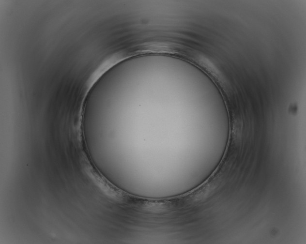 X0000092241378200710051230