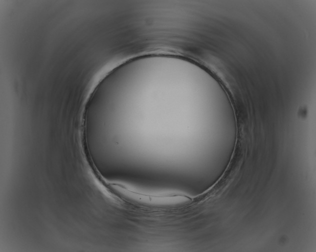 X0000092241379200710051230