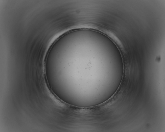 X0000092241380200710051230