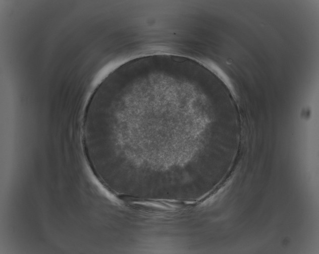 X0000092241381200710051230