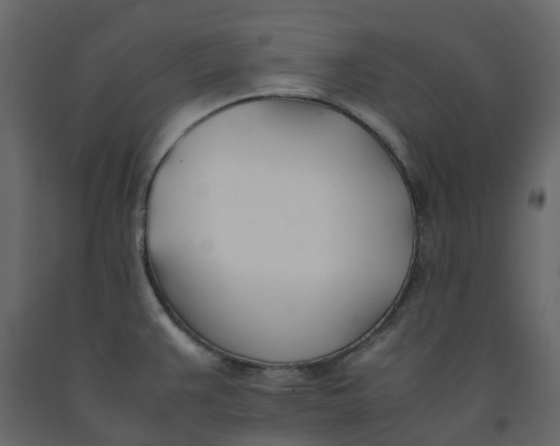 X0000092241383200710051230