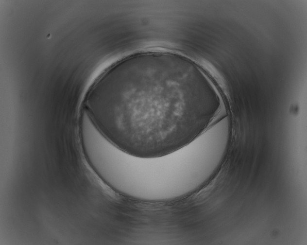 X0000092241384200710051230