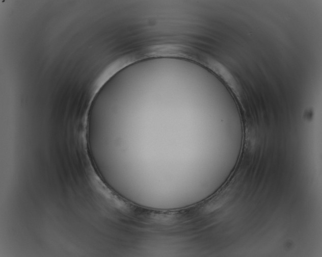 X0000092241386200710051230