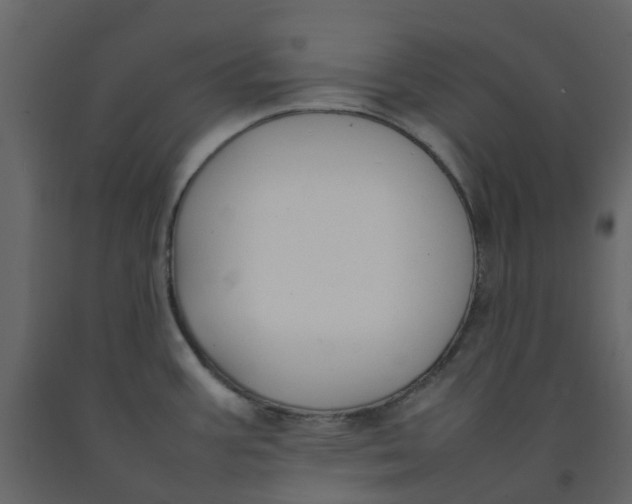 X0000092241387200710051230