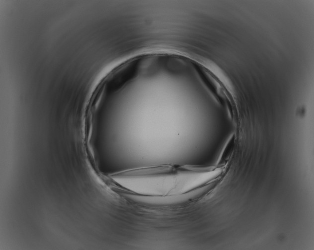 X0000092241388200710051230