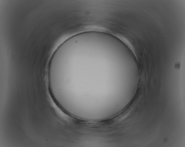 X0000092241391200710051230