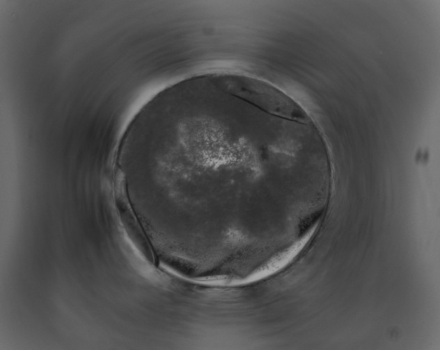 X0000092241392200710051230