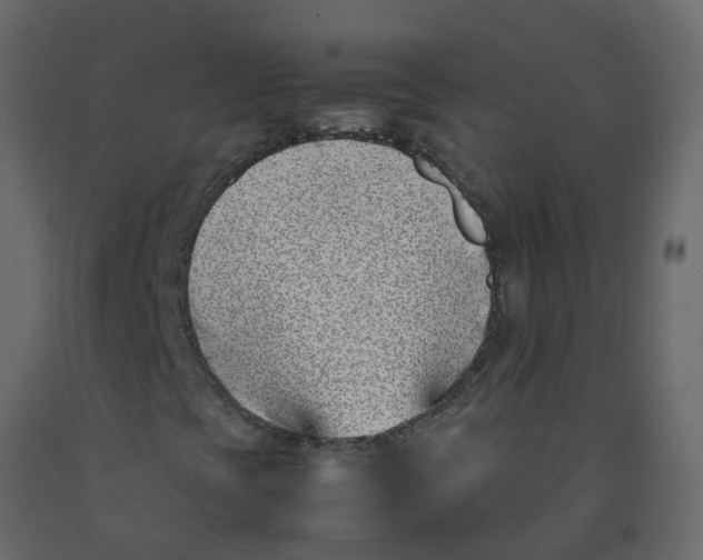 X0000092241393200710051229