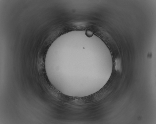 X0000092241395200710051229