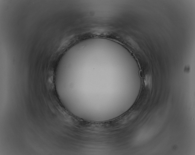 X0000092241396200710051229