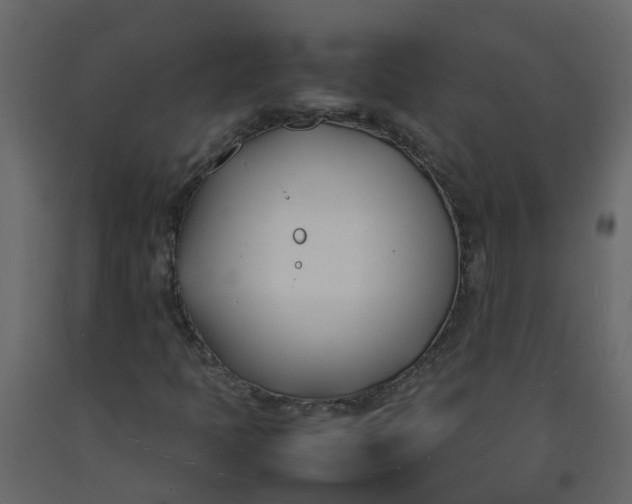 X0000092241397200710051229