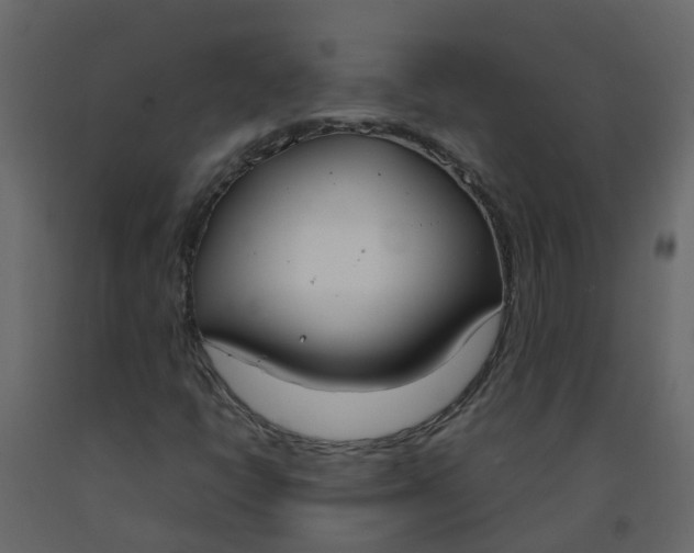 X0000092241398200710051229