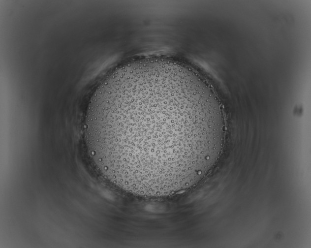 X0000092241399200710051229