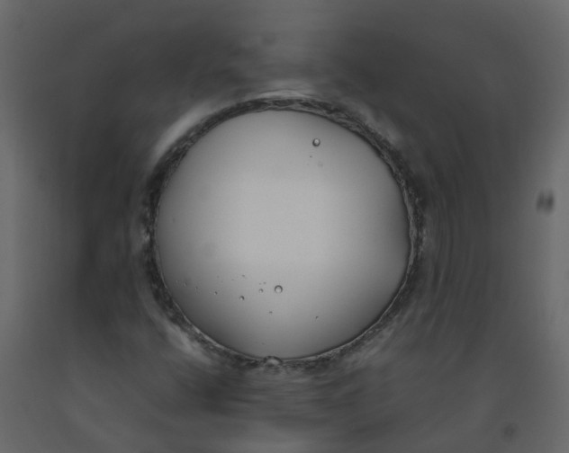 X0000092241400200710051229