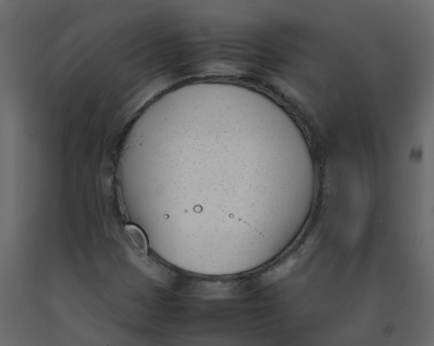 X0000092241401200710051229