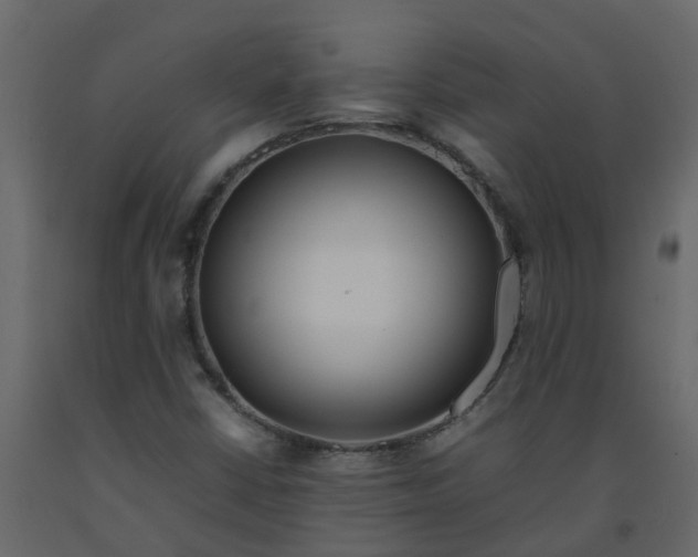 X0000092241402200710051229