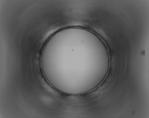 X0000092241404200710051229