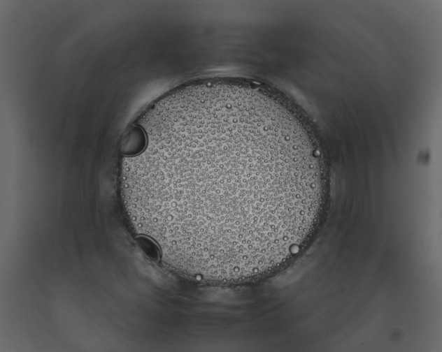 X0000092241405200710051229