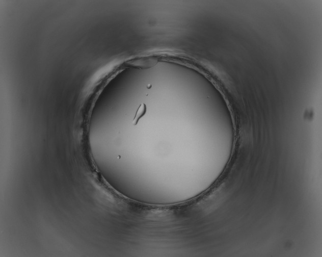 X0000092241406200710051229