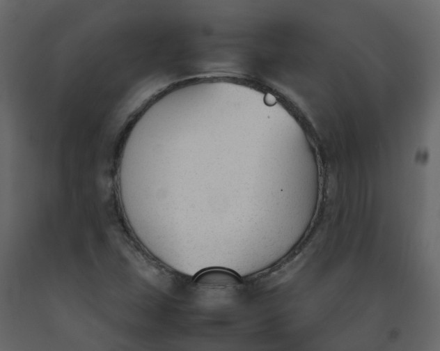 X0000092241407200710051229