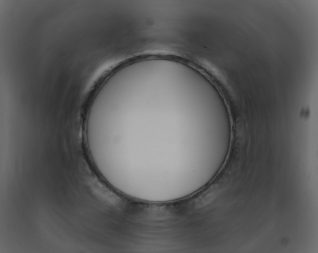 X0000092241408200710051229