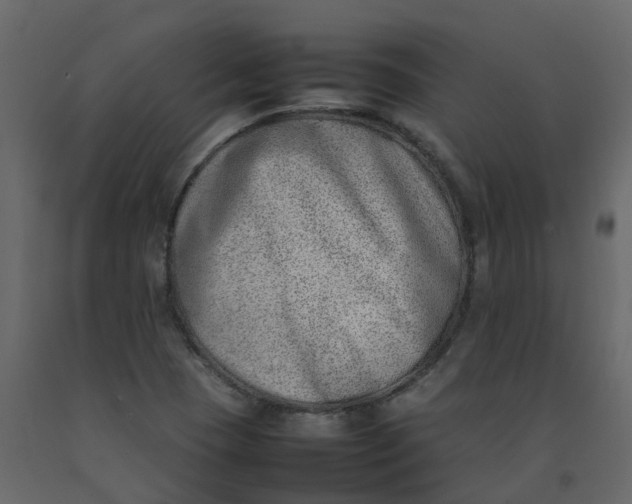 X0000092241409200710051230