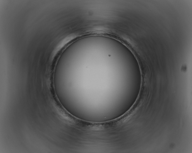 X0000092241410200710051230