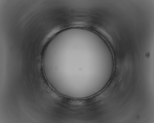 X0000092241411200710051230