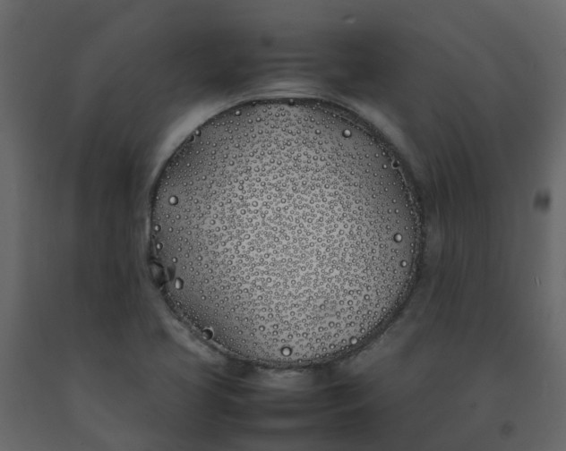 X0000092241413200710051230