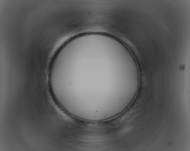 X0000092241416200710051230