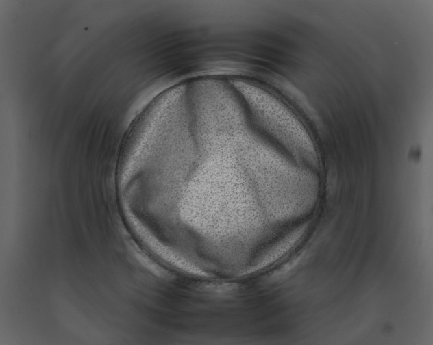 X0000092241417200710051230