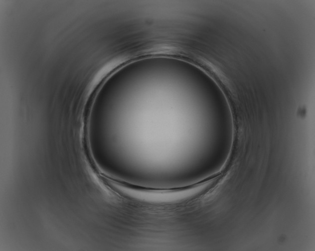 X0000092241418200710051230