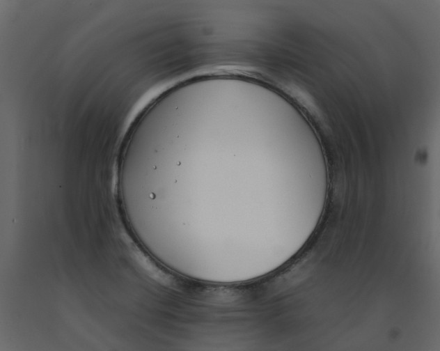 X0000092241420200710051230