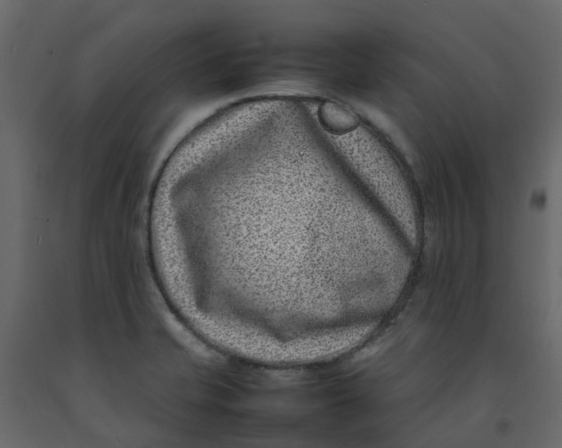 X0000092241421200710051230