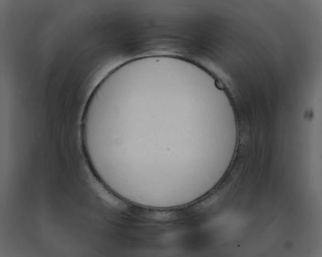 X0000092241423200710051230