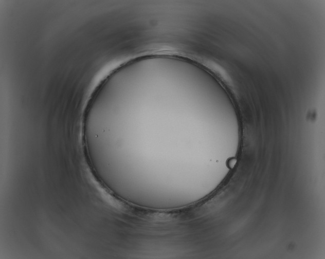 X0000092241424200710051230