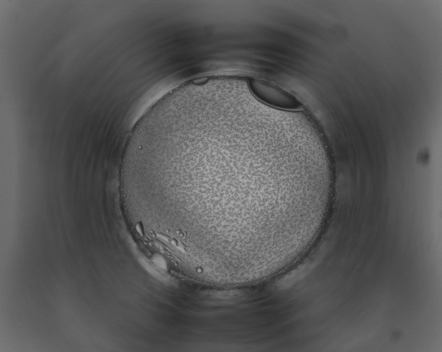 X0000092241425200710051230