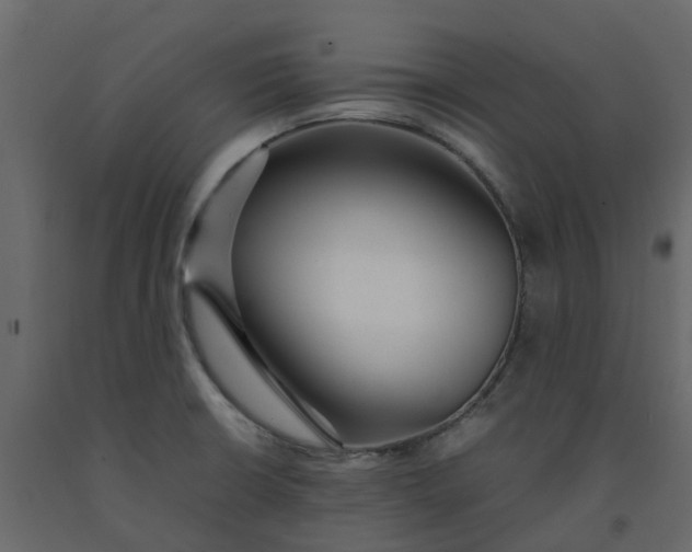 X0000092241426200710051230