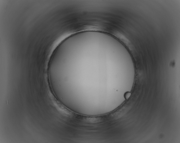 X0000092241427200710051230