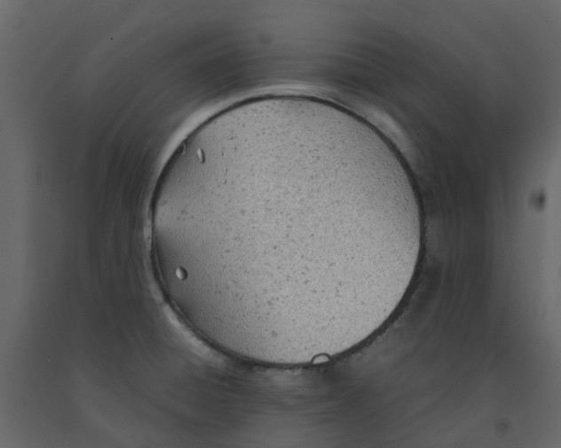 X0000092241428200710051230